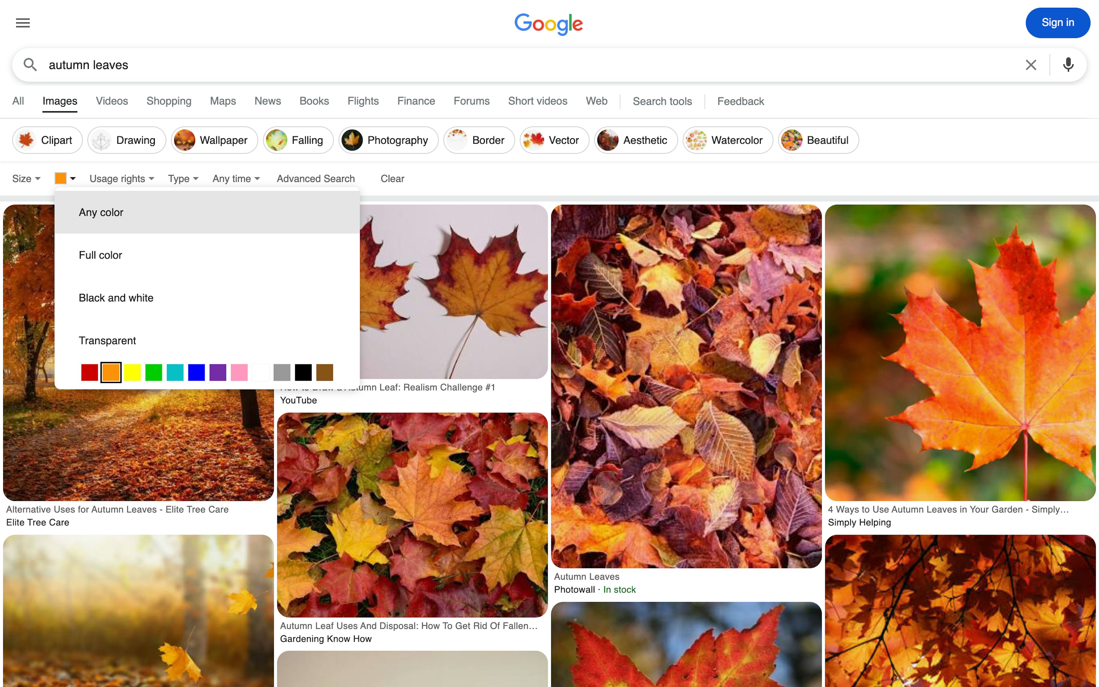 Google Image Search [fr]